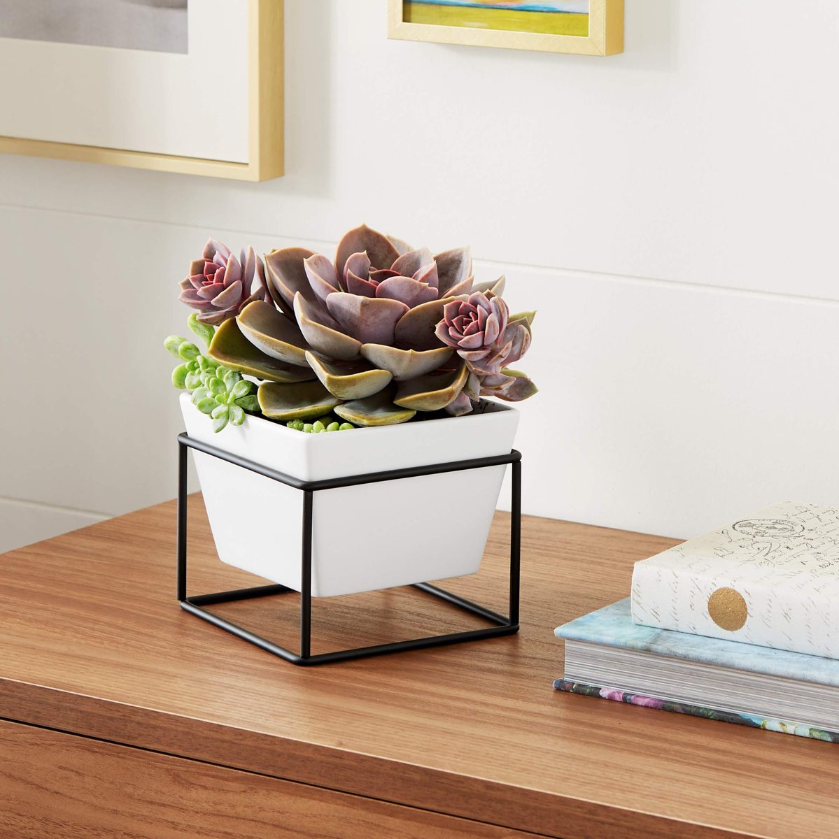 AmazonBasics Tabletop Planter, Square - White/Black (2-Pack)