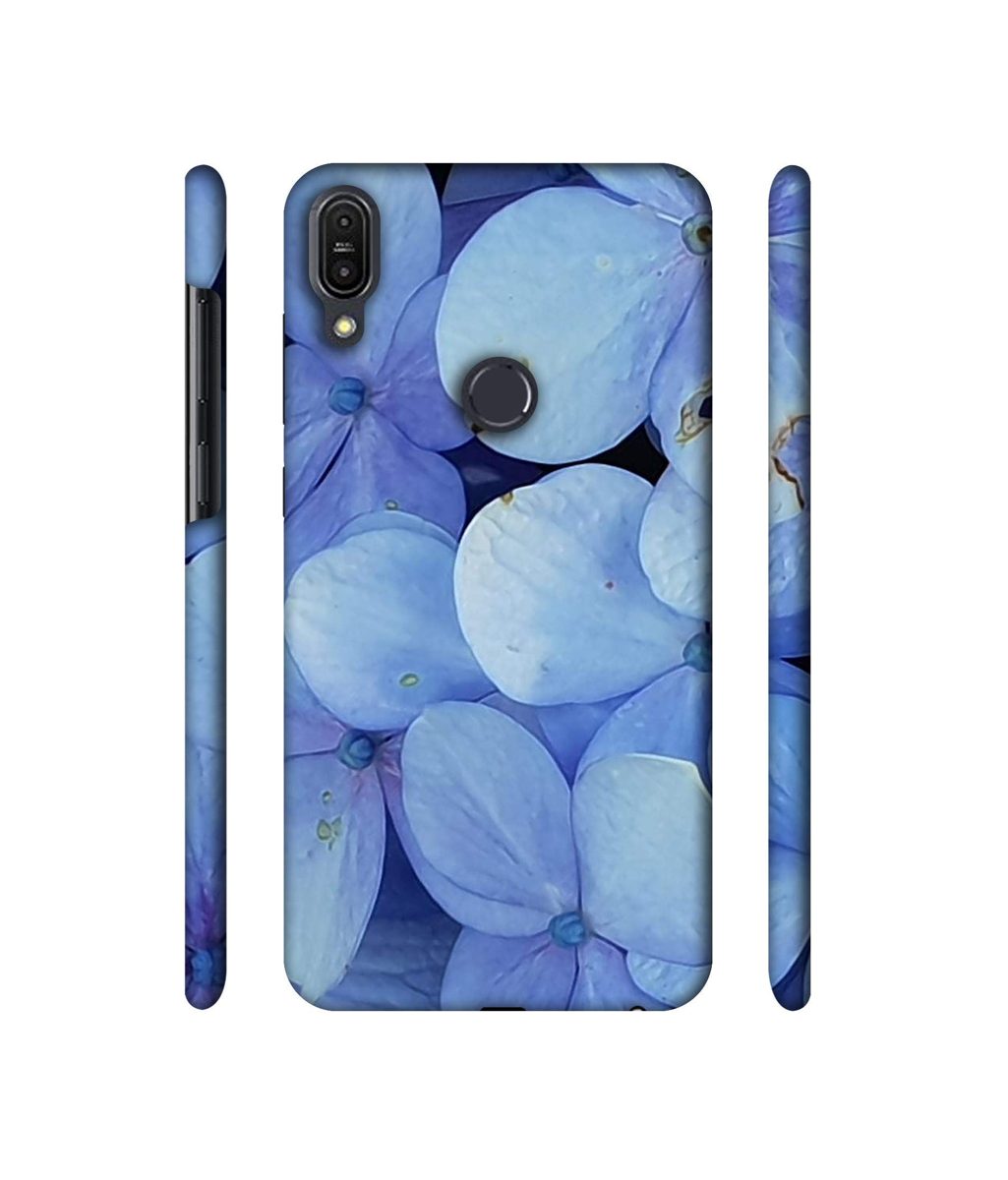 Amazon Brand - Solimo Designer Light Blue Flower Photography 3D Printed Hard Back Case Mobile Cover for Asus Zenfone Max Pro M1 ZB601KL
