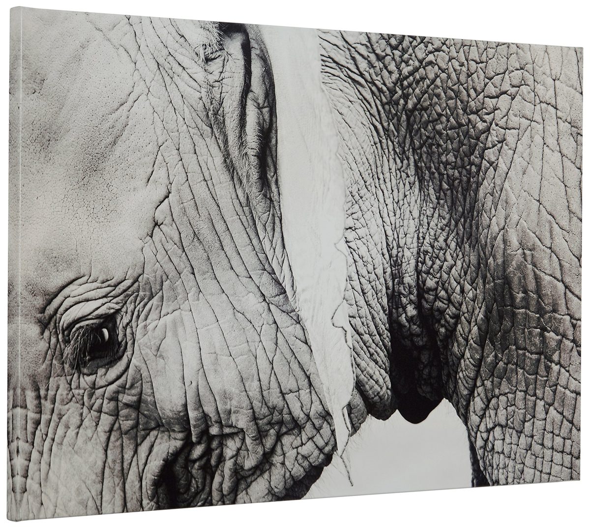 Amazon Brand – Rivet Up Close Black and White Elephant Photo Canvas Print Wall Art Decor, 36" x 24"