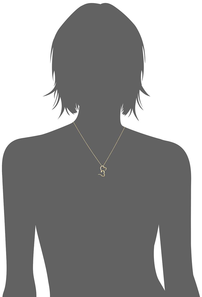 [Find] Amazon Collection Gold Plated 925 Sterling Silver Cubic Zirconia Double Heart Pendant Necklace