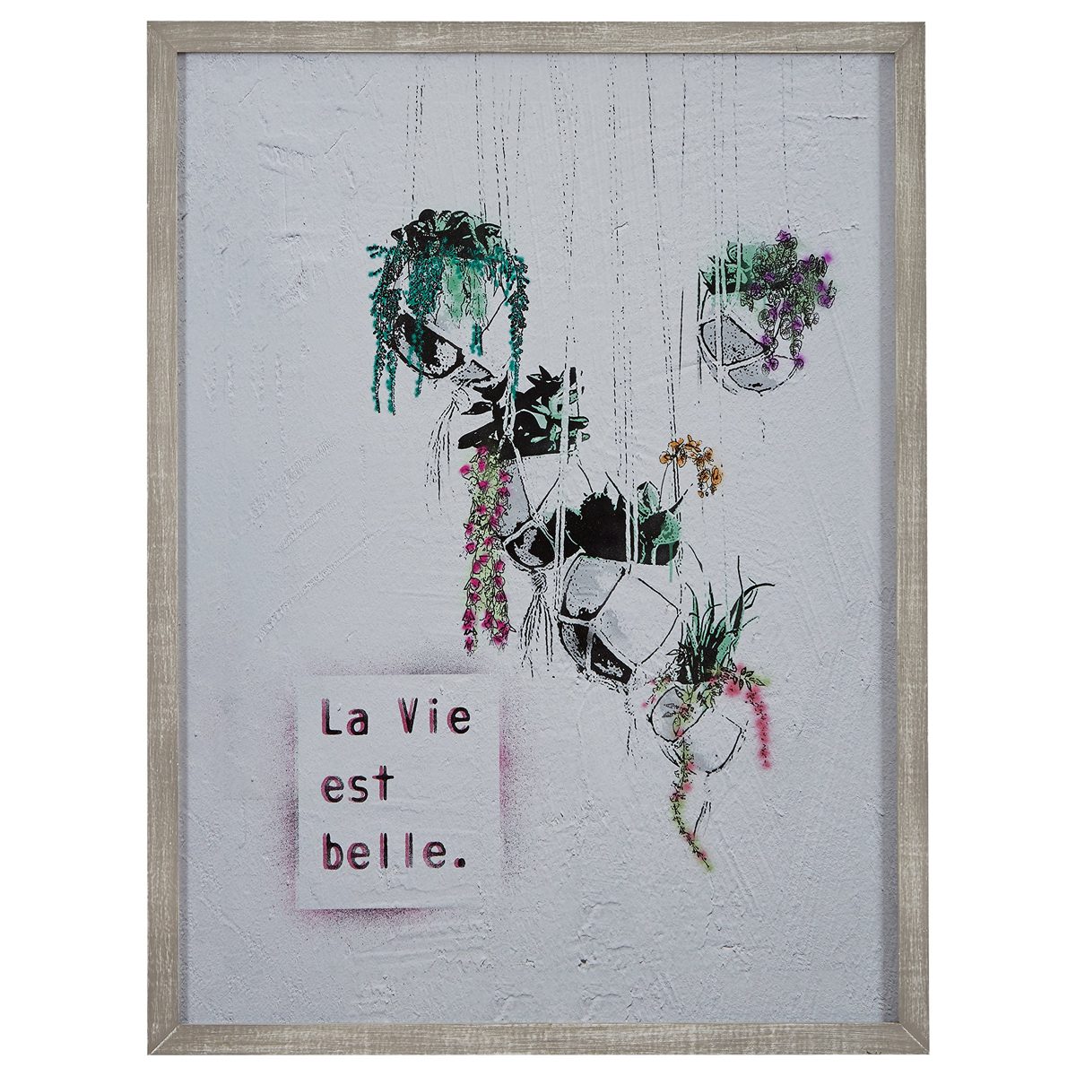 Amazon Brand – Rivet Life is Beautiful Hanging Plants Print Wall Art in Gray Wood Frame, 30.5" x 40.5"