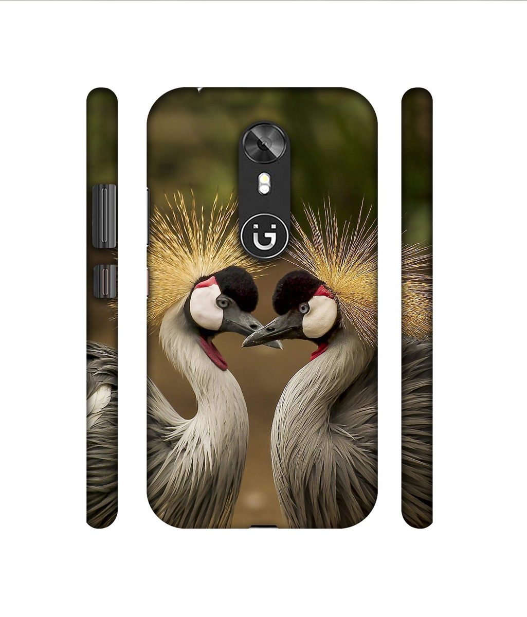 Amazon Brand - Solimo Designer Birds 3D Printed Hard Back Case Mobile Cover for Gionee A1